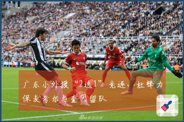 广东小外援“2选1”竞逐，杜锋力保麦考尔与奎因留队