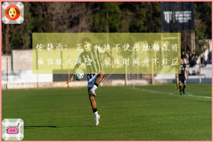 徐静雨：正常轮换不使用杨瀚森将面临极大风险，垃圾时间并不好应对