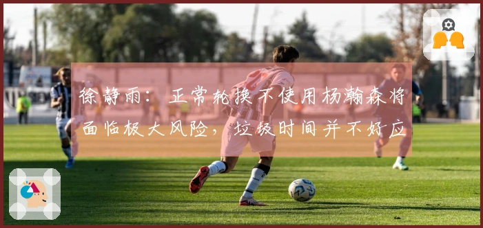 徐静雨：正常轮换不使用杨瀚森将面临极大风险，垃圾时间并不好应对